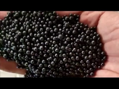 Linha de produção de fertilizantes orgânicos