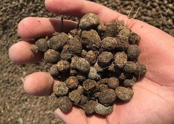 Granulador de fertilizantes para granulação de materiais orgânicos como resíduos de feno, resíduos vegetais e ácido fulvico